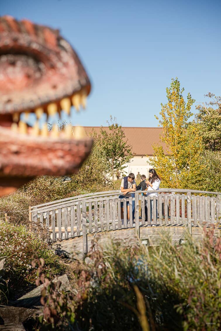 Paleontologist Workshops