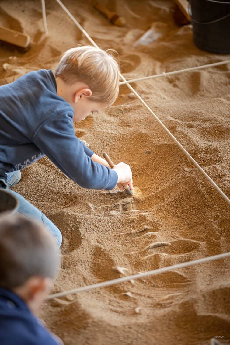 Interactive Dino Exhibits