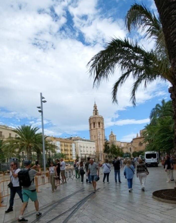 Panoramic Valencia Views