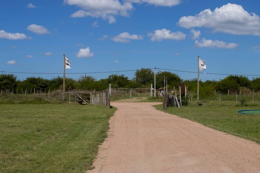 Birdwatching Opportunities