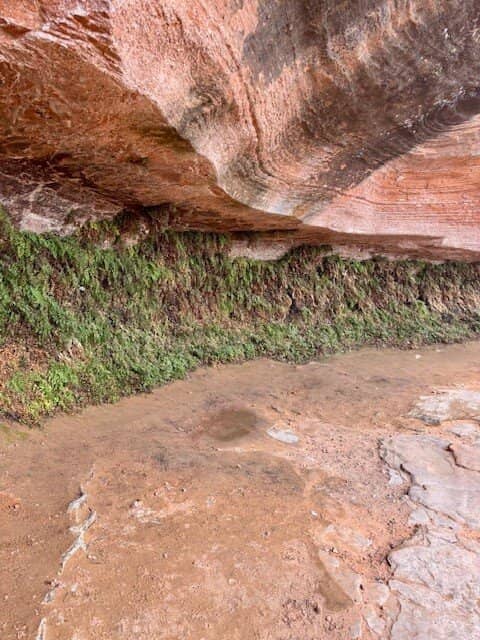 Unique Natural Spring