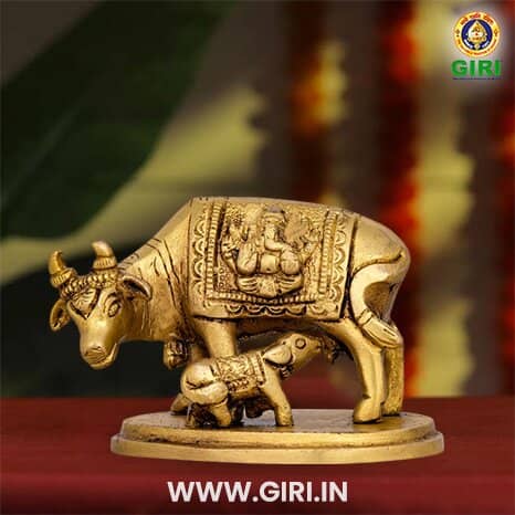 The Majestic Rajagopuram