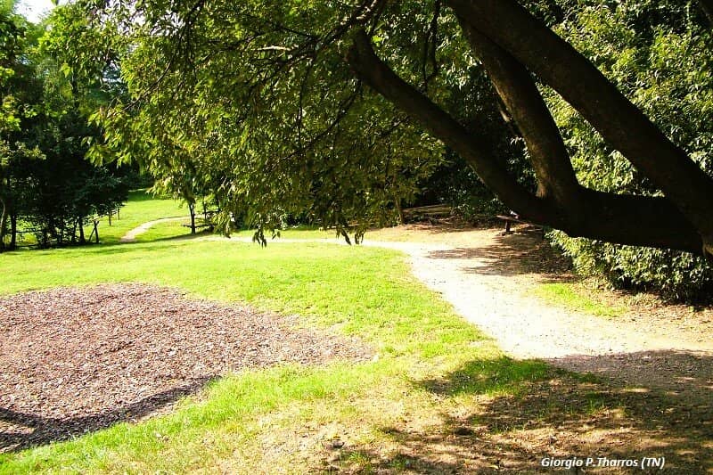 Tranquil Walking Trails
