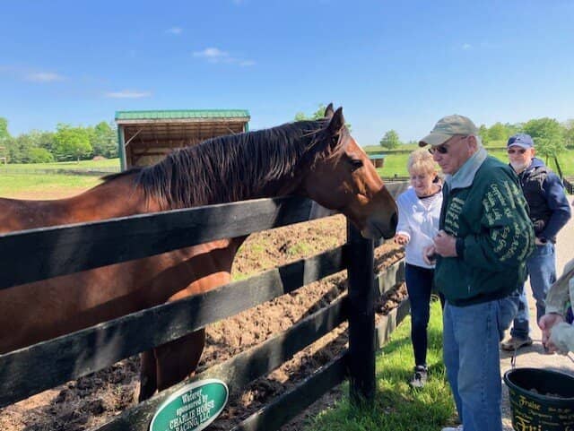 Carrot Feeding Fun