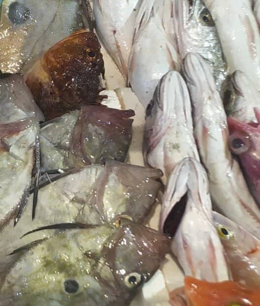 Daily Catch Selection