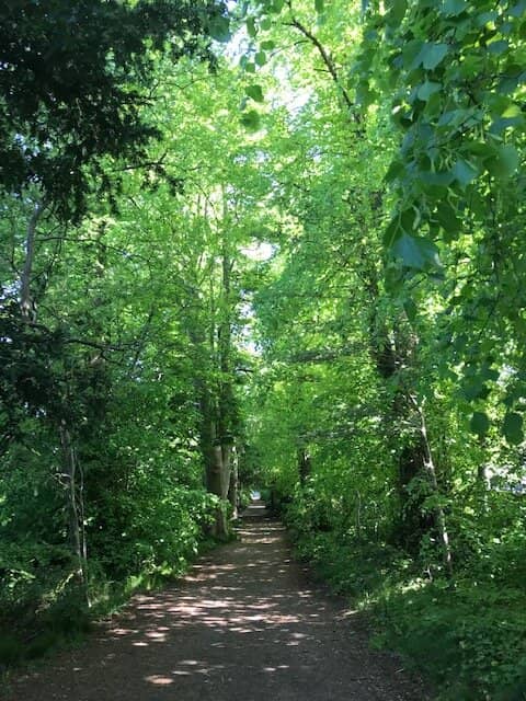 Views of the Firth of Forth