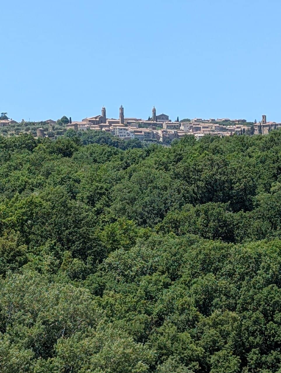 Tenuta Nuova