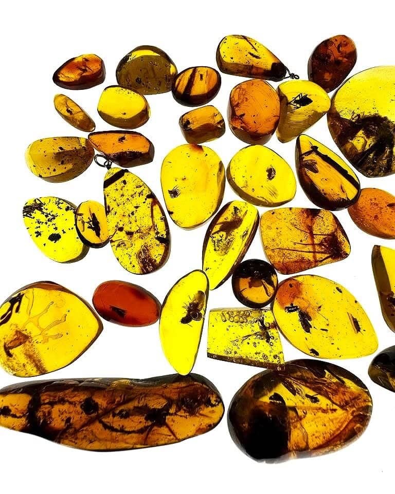 Cigar Making Demonstration