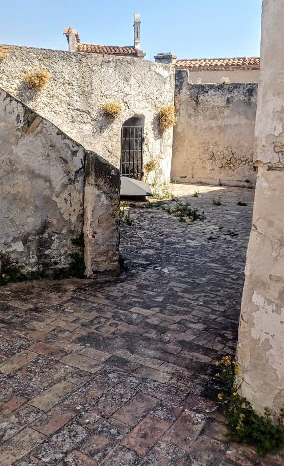 Scenic Grounds and Flora