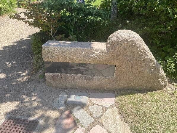 Panoramic Cityscape Views