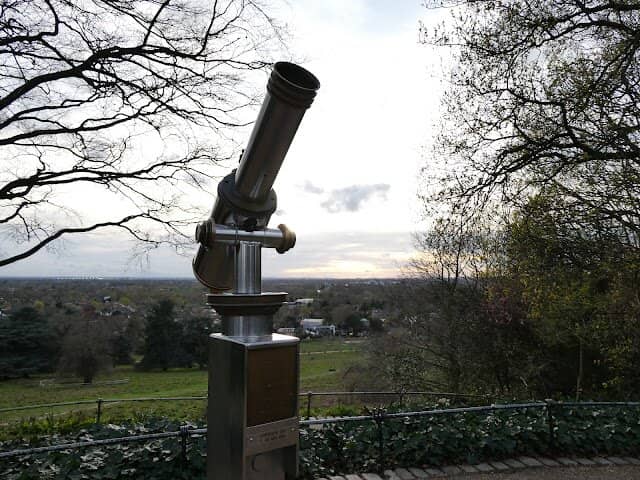 Wild Deer Encounters