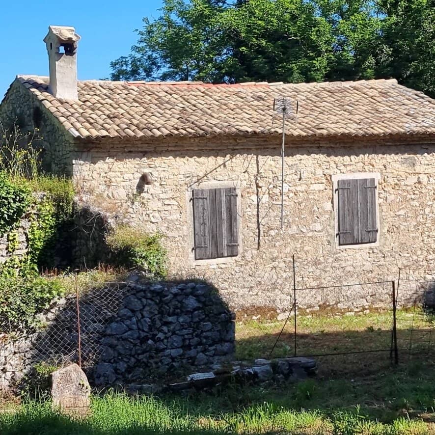 Syriotis Family Apiary