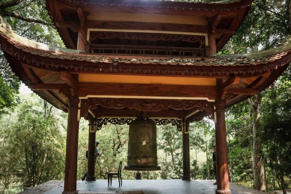Pine Forest Sanctuary