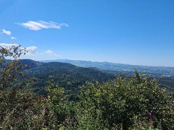 Panoramique des Dômes Train