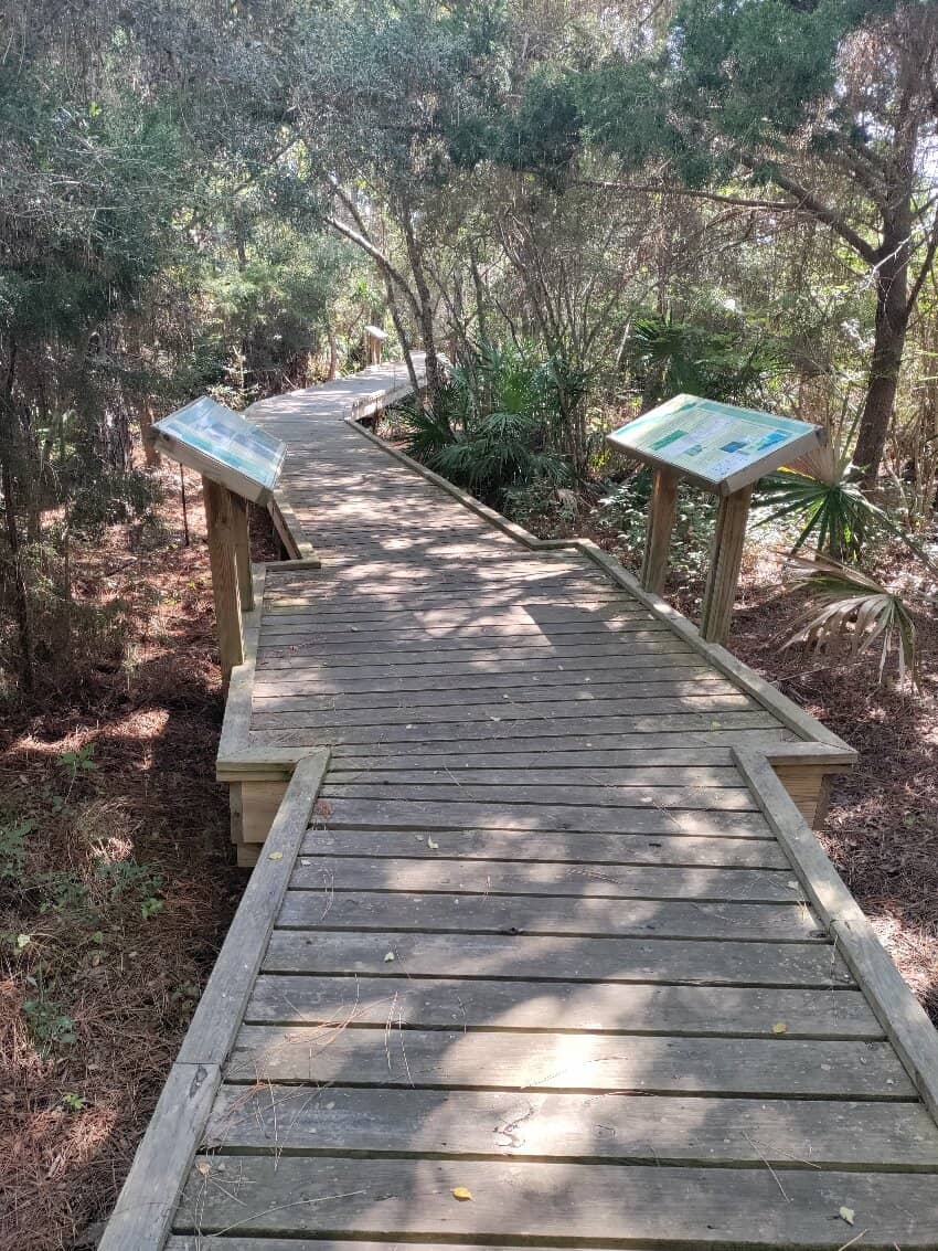 14-Minute Educational Film