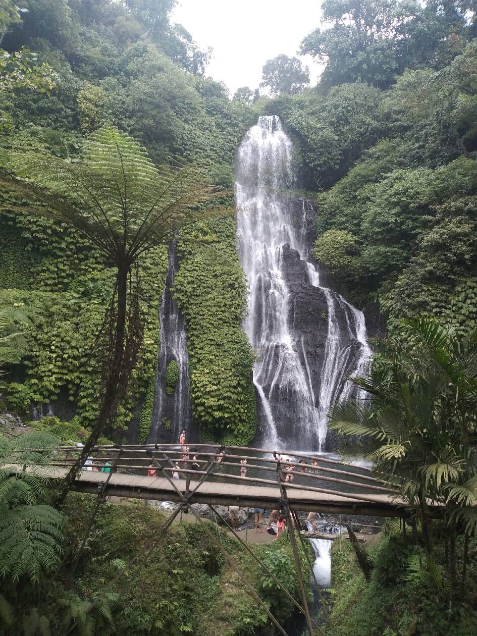 Vertical photo
