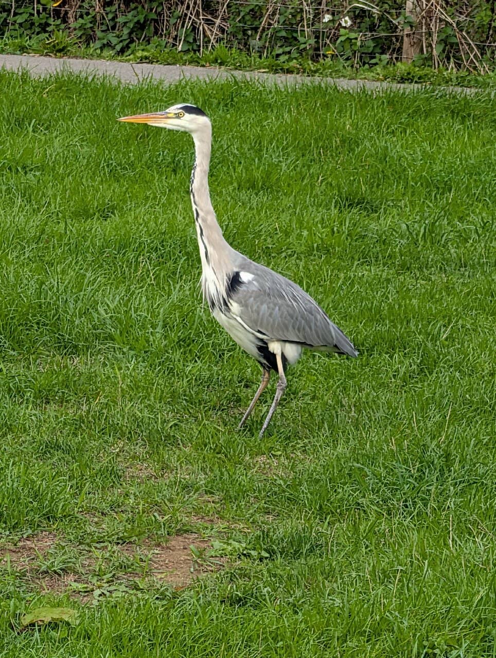 Waterside Cafe Views