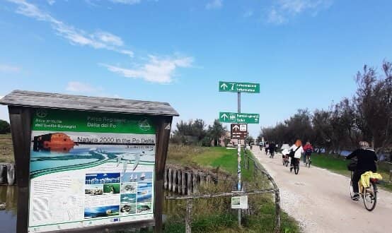 Peaceful Nature Immersion