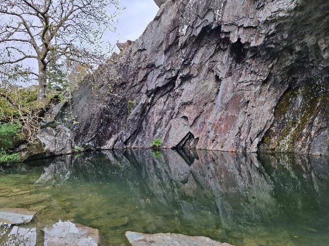 Vertical photo