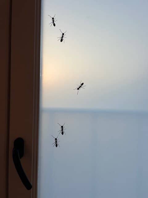 Cultural Walk Experience