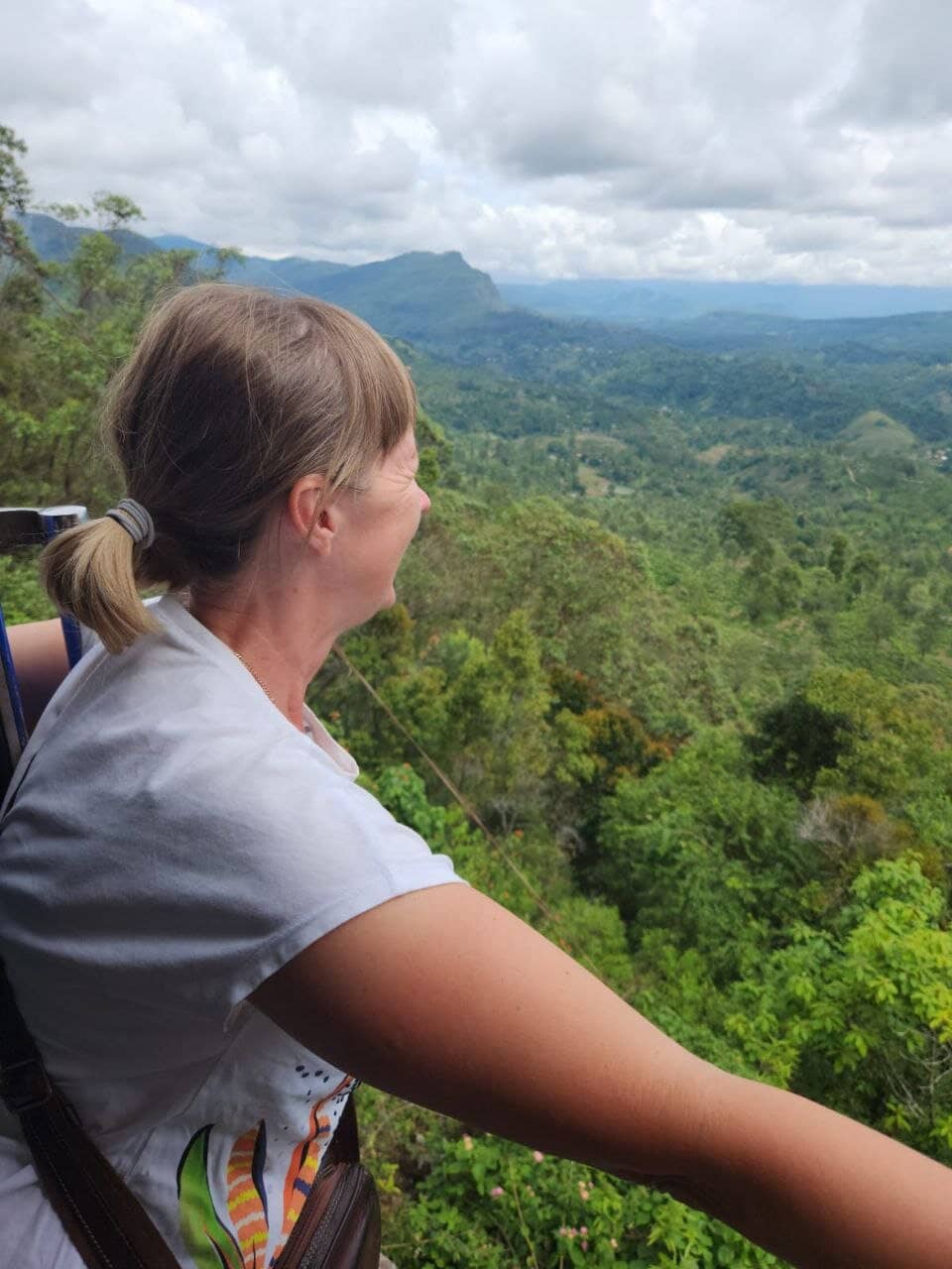 Scenic Train Journey