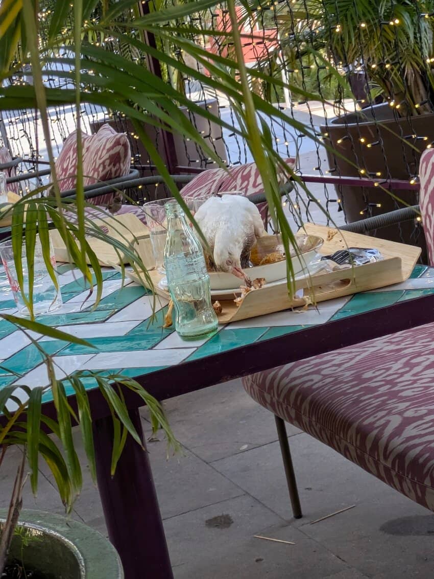 Historic Architecture