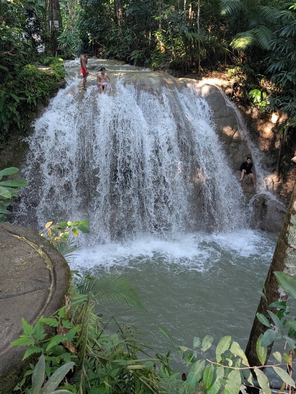 Vertical photo
