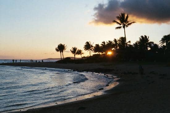 Sea Turtle Haven