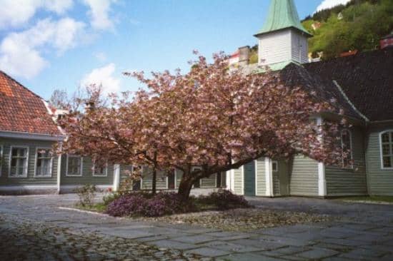 Oldest Wooden Church in Bergen