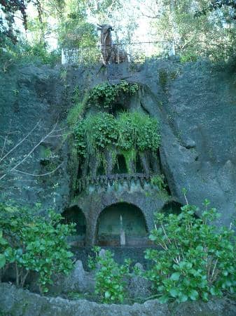 Bodega Cerro del Toro