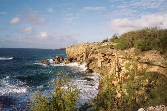 Panoramic Coastal Views