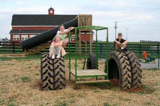 Farm-Fresh Sandwiches