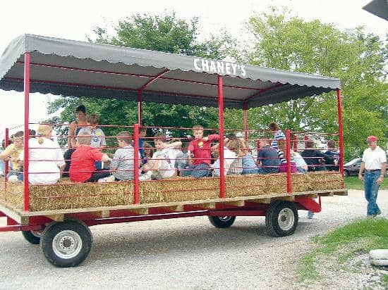 Family Fun Playground