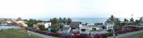 Surfing Opportunities