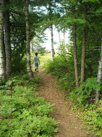 Wooded Mountainous Shoreline