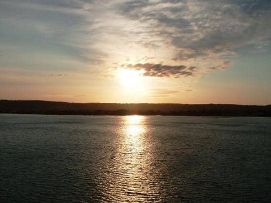 Little Penguin Colony