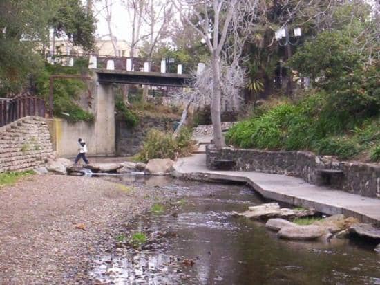 Concerts in the Plaza