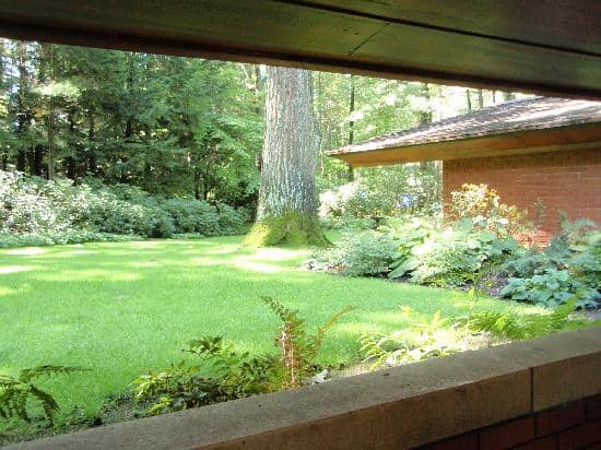 Knowledgeable Docent Tours