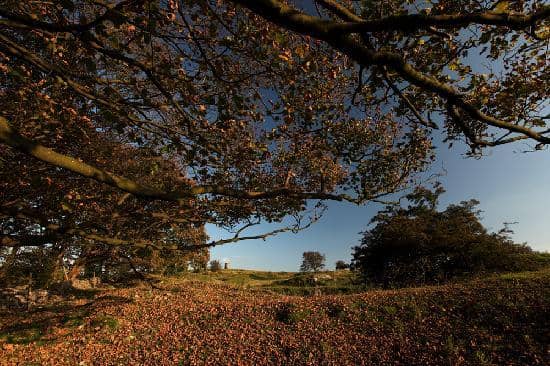 The Great Stalactite