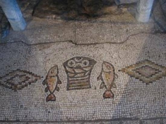 Sea of Galilee Views