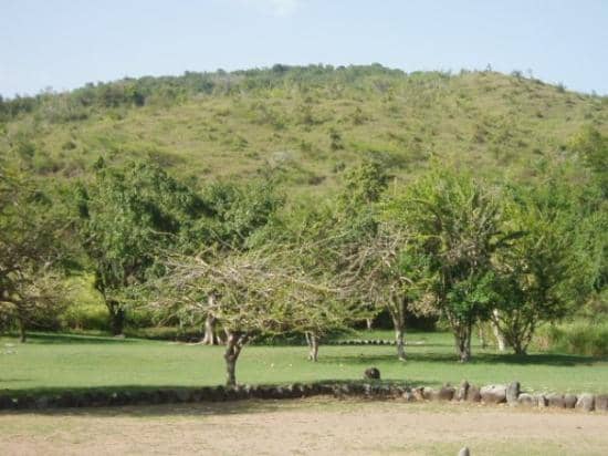 Petroglyphs and Stone Formations