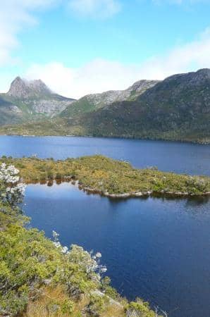 Wombat Spotting at Ronny Creek