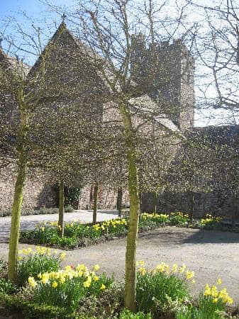 Cozy Cafe Experience