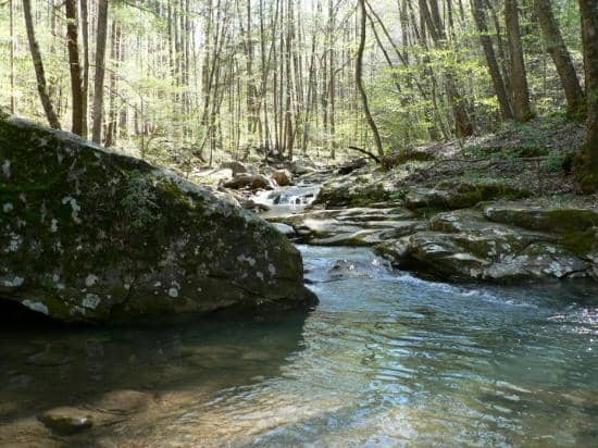 Emory Gap Falls
