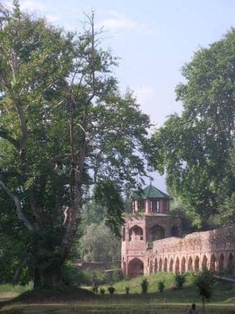 Dal Lake Views
