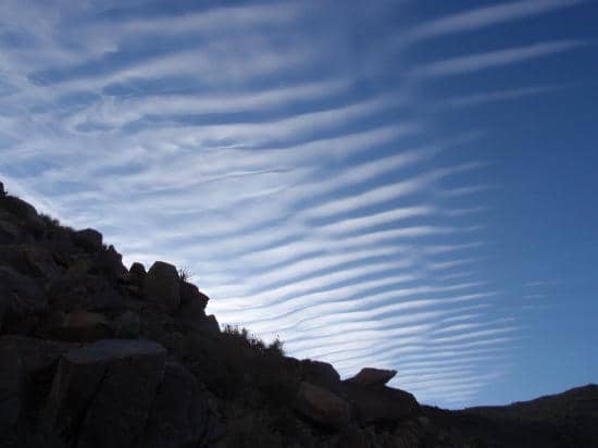 Ryan Mountain Summit