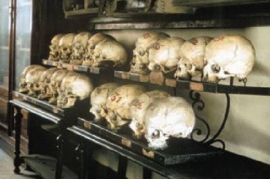 19th-Century Wax Models