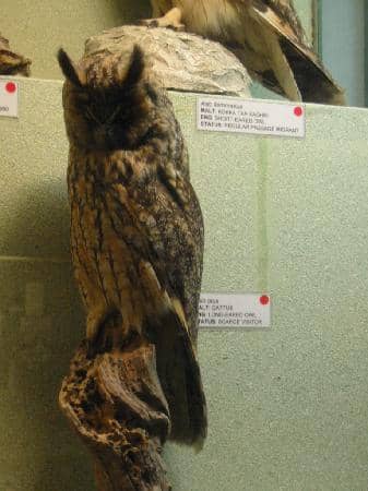 Interactive Children's Area