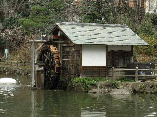 Tranquil Pond & Watermill