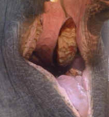 Canalside & Riverside Walks